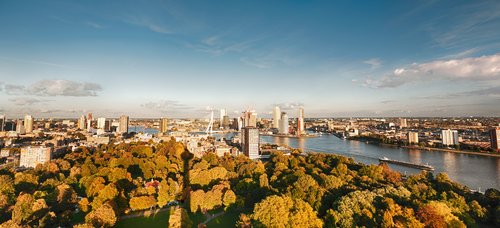 Panoramic view of Rotterdam with modern skyscrapers under a clear sky, a park in the foreground and the river with a ship.