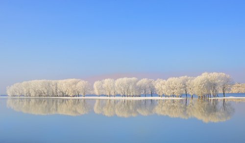 Snow-covered trees are reflected in the calm waters of the Danube under a clear blue sky.